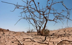 قصه تلخ بحران کم آبی قصه تلخ بحران کم آبی