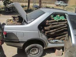 محکومیت میلیونی برای قاچاق3130کیلوگرم چوب وزغال جنگلی