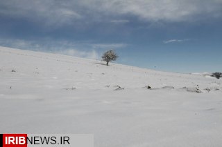 جلوه های زیبای طبیعت در کالپوش برفی + فیلم