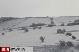 جلوه های زیبای طبیعت در کالپوش برفی + فیلم