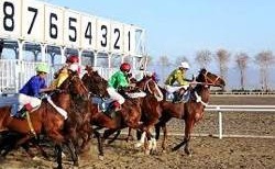 معرفی چابکسواران برتر رقابتهای هفته بیستم سوارکاری گنبد کاووس