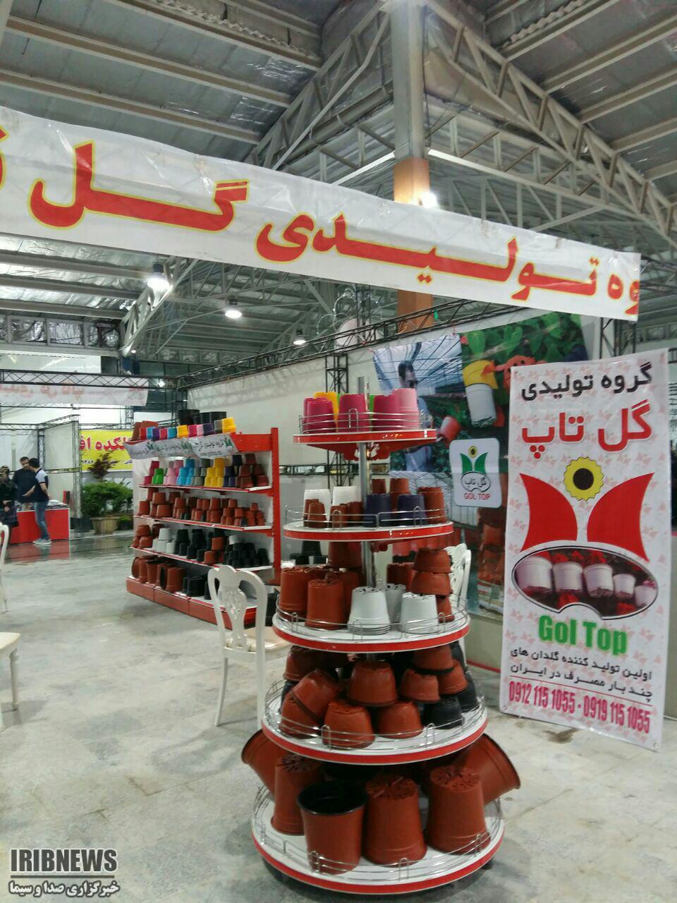 برپایی نمایشگاه تخصصی گل و گیاه در قائم شهر برپایی نمایشگاه تخصصی گل و گیاه در قائم شهر