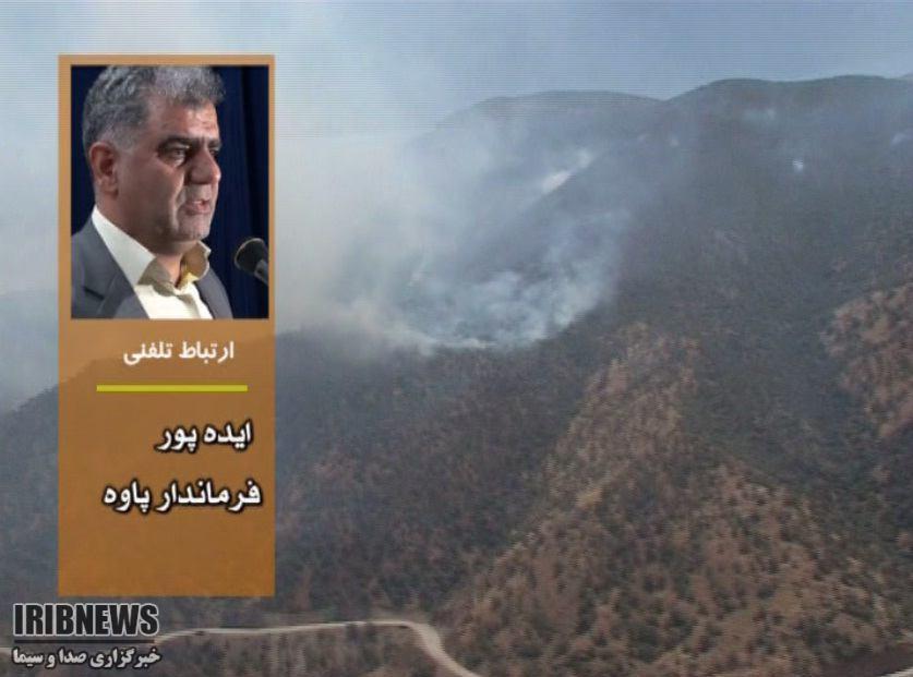 مهار آتش سوزی در 400 هکتار از مراتع و جنگلهای شهرستان پاوه مهار آتش سوزی در 400 هکتار از مراتع و جنگلهای شهرستان پاوه