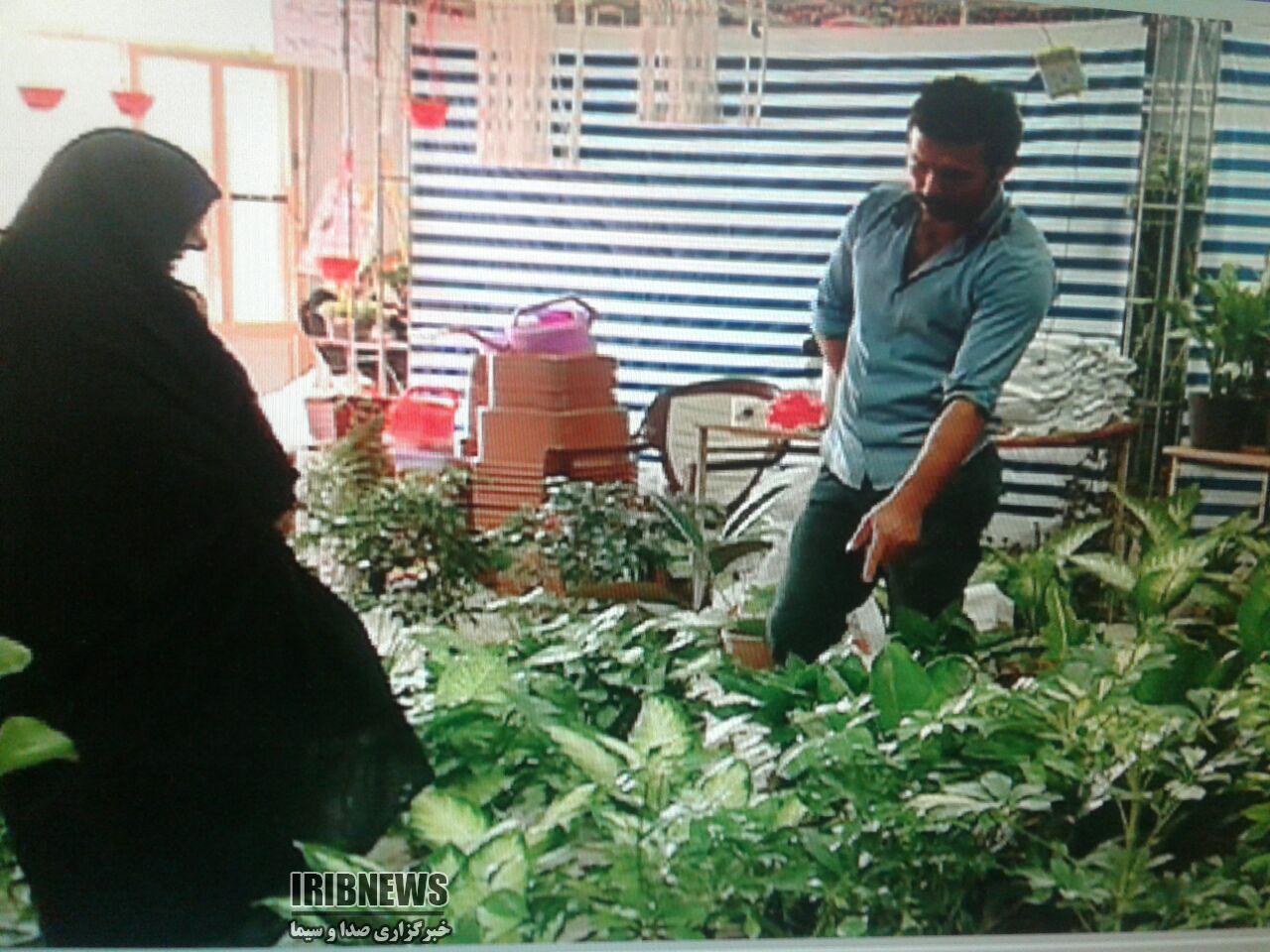 نمایشگاه گل و گیاه در خراسان شمالی نمایشگاه گل و گیاه در خراسان شمالی