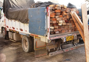 کشف 25مترمکعب چوب قاچاق در شهریار