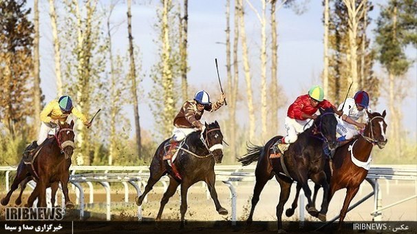 نتایج رقابت های هفته دوم مسابقات بهاره سوارکاری کشور نتایج رقابت های هفته دوم مسابقات بهاره سوارکاری کشور