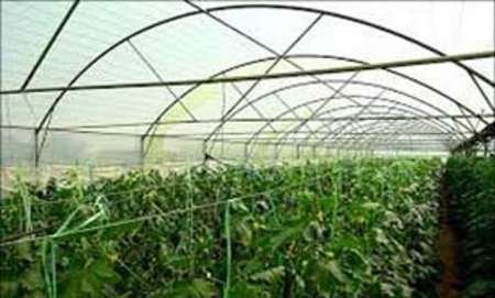 بهره برداری از چهار طرح کشاورزی با دو میلیارد ریال هزینه در تایباد