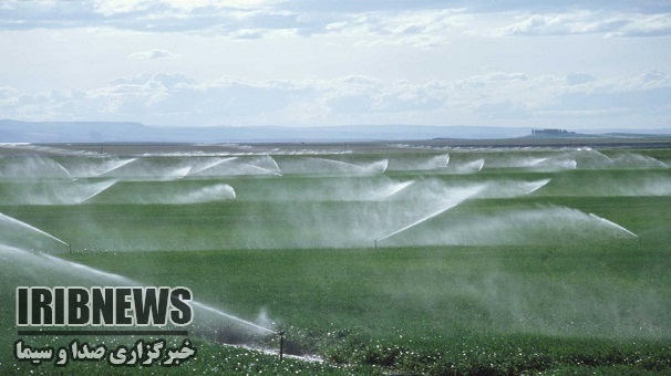 اجرای آبیاری تحت فشار در 43هزارهکتار ازاراضی کشاورزی استان زنجان