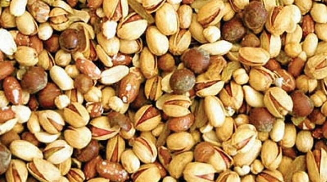 نمايشگاه بين المللي ميزبان توليد کنندگان آجيل و خشکبار