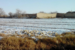 شکرگزاری کویرنشینان جرقویه علیا از برف زمستانی