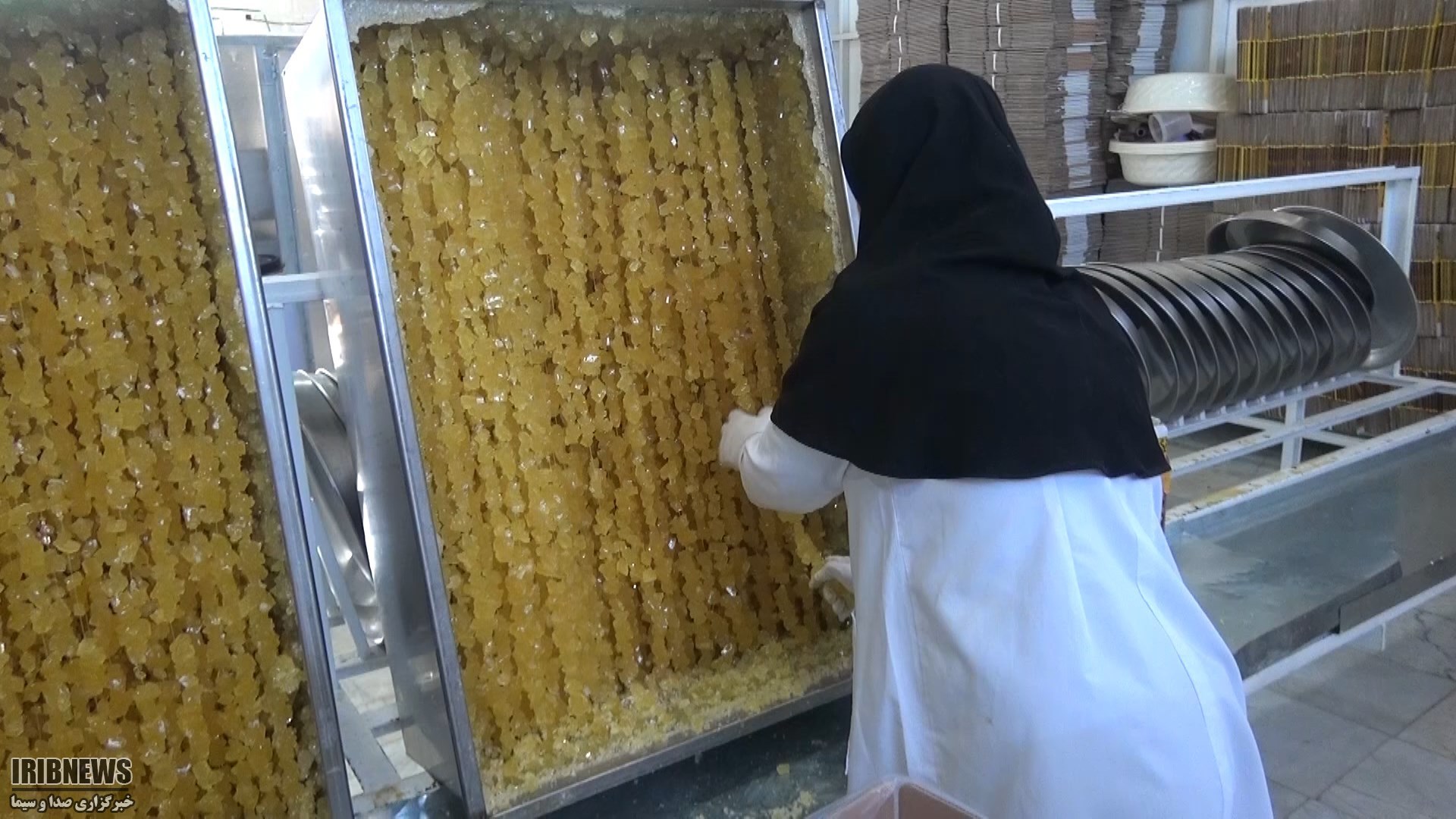 بهره برداری از ۴ طرح خدماتی در نی ریز بهره برداری از ۴ طرح خدماتی در نی ریز