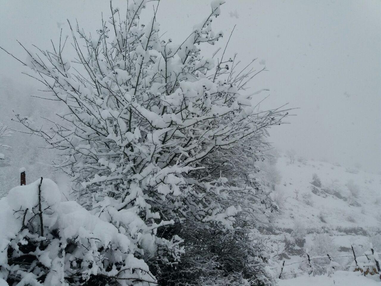 ارتفاعات گیلان سپید پوش شد.