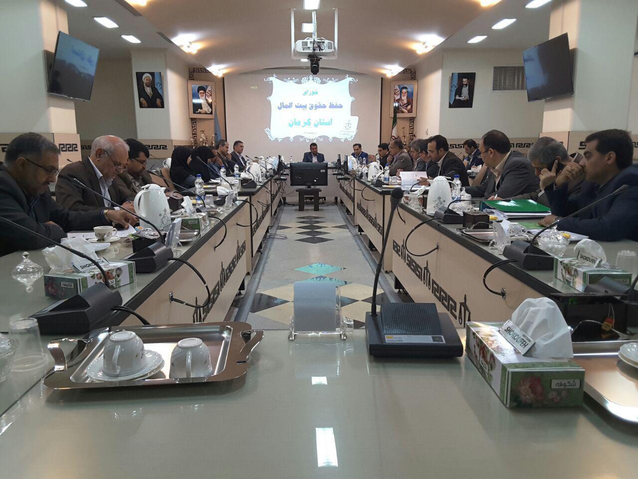 تاکید شورای حفظ حقوق بیت المال برحراست حریم رودخانه ها درکرمان