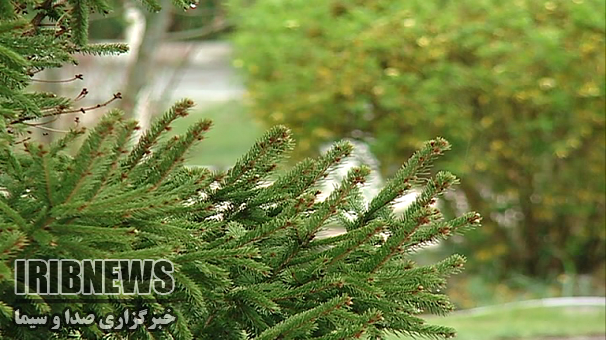 هشدار وزش شدید باد در زنجان