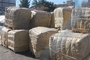 از دستگیری قاتل چاقو به دست تا بریدن گوش همسر