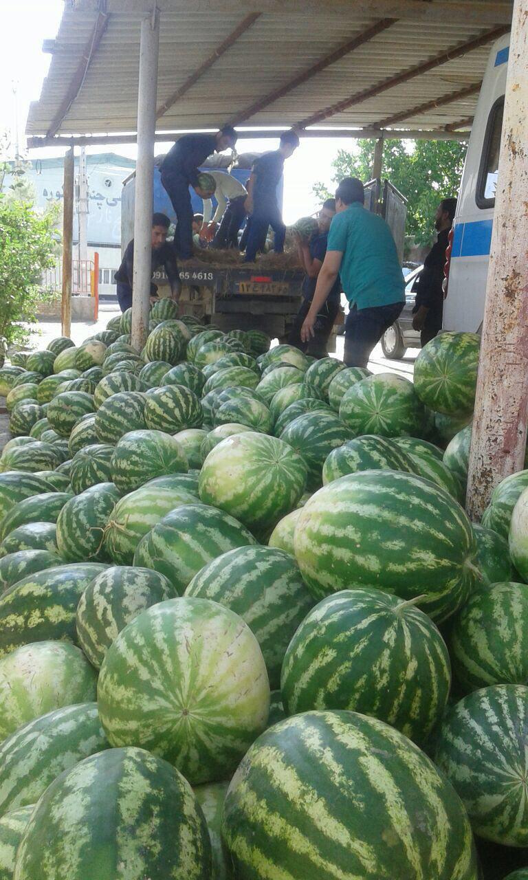 اهدای شش و نیم تن هندوانه به مددجویان بهزیستی بافت