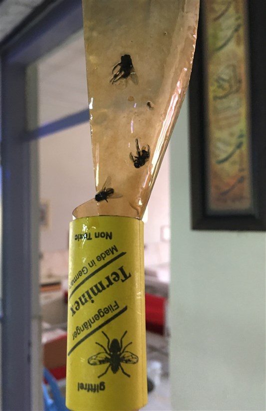 یک ایستگاه مانده به بهشت / گزارشی از زندگی در همسایگی قبرفروشهای تهران یک ایستگاه مانده به بهشت / گزارشی از زندگی در همسایگی قبرفروشهای تهران