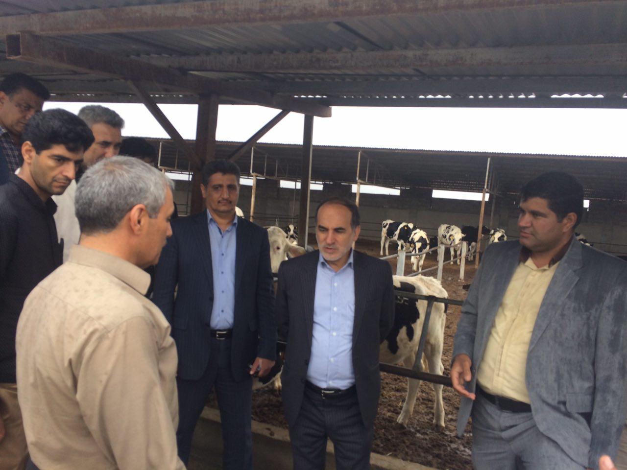 ساخت سه سیلو ده هزار تنی  ذخیره سازی گندم در جنوب کرمان