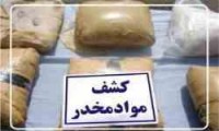 از زنده گیری مار پلنگی تا اسیدپاشی+فیلم از زنده گیری مار پلنگی تا اسیدپاشی+فیلم