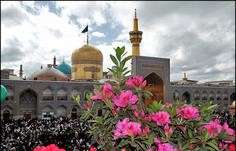 اهداء 830 هدیه متبرک به زائران زیارت اولی امام رضا(ع)