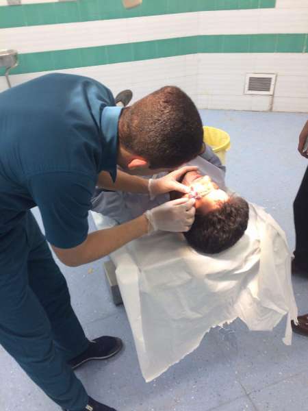 قاچاقچیان چوب درچنگال مامور منابع طبیعی