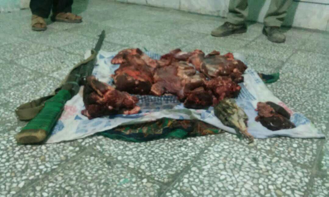 از سقوط مرگبار تا کلاهبرداری با فروش خانههای رؤیایی + فیلم از سقوط مرگبار تا کلاهبرداری با فروش خانههای رؤیایی + فیلم