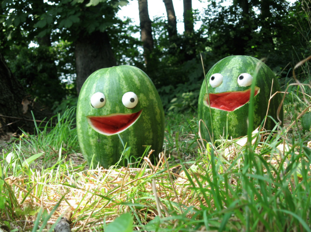 فواید خوردن هندوانه چرا و چه وقت هندوانه بخوریم؟