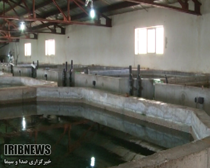 بهره برداری از طرحهای آبزی پروری +فیلم