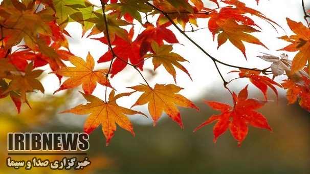 نخستین هشدارهای هوای پاییزی به کشاورزان زنجانی