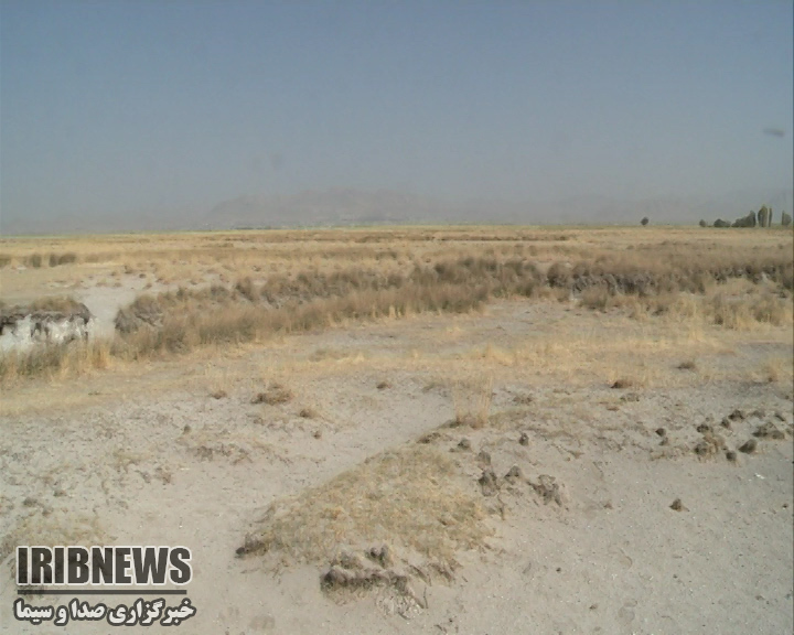 گزارش مکتوب :مرگ تدریجی دشت های بام ایران