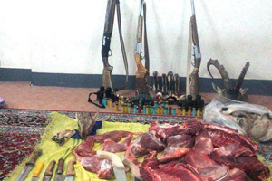 سرقت خودرو با کودک تا قتل دختر ۱۸ ساله