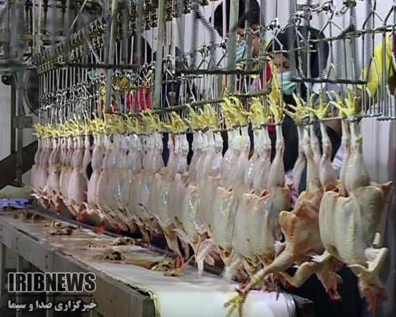 افزایش 26 درصدی قیمت مرغ در خراسان شمالی