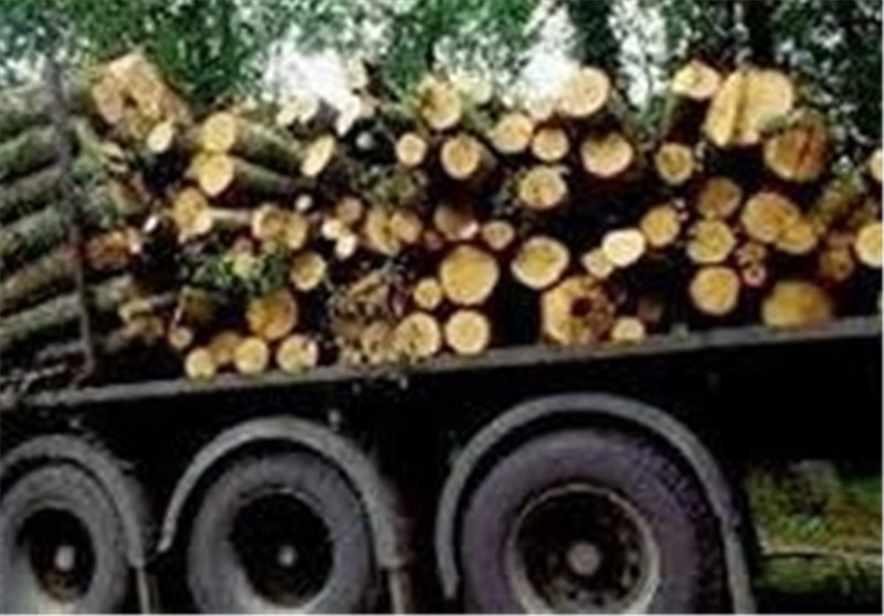 کشف محموله 11 تنی قاچاق درخت جنگلی بلوط