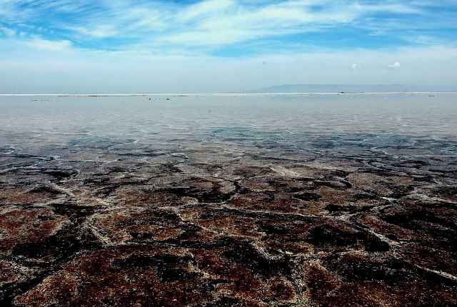 نجات دو گردشگری هلندی از باتلاق دریاچه نمک آران وبیدگل نجات دو گردشگری هلندی از باتلاق دریاچه نمک آران وبیدگل