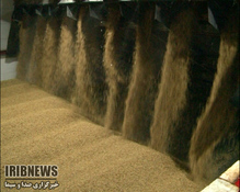 رونق مالت داخلی در بازارهای داخلی