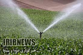 توزیع ۱۴۴ تن گوشت در مهاباد