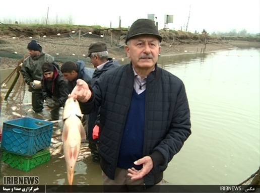 صنعت آبزی پروری گیلان 4 دهه روی دور تولید