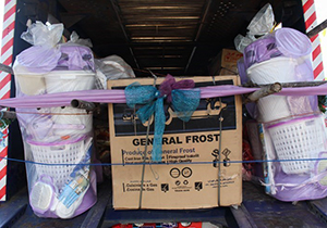 اهدای بیش از ۷ هزار فقره کمک هزینه جهیزیه به مددجویان فارسی