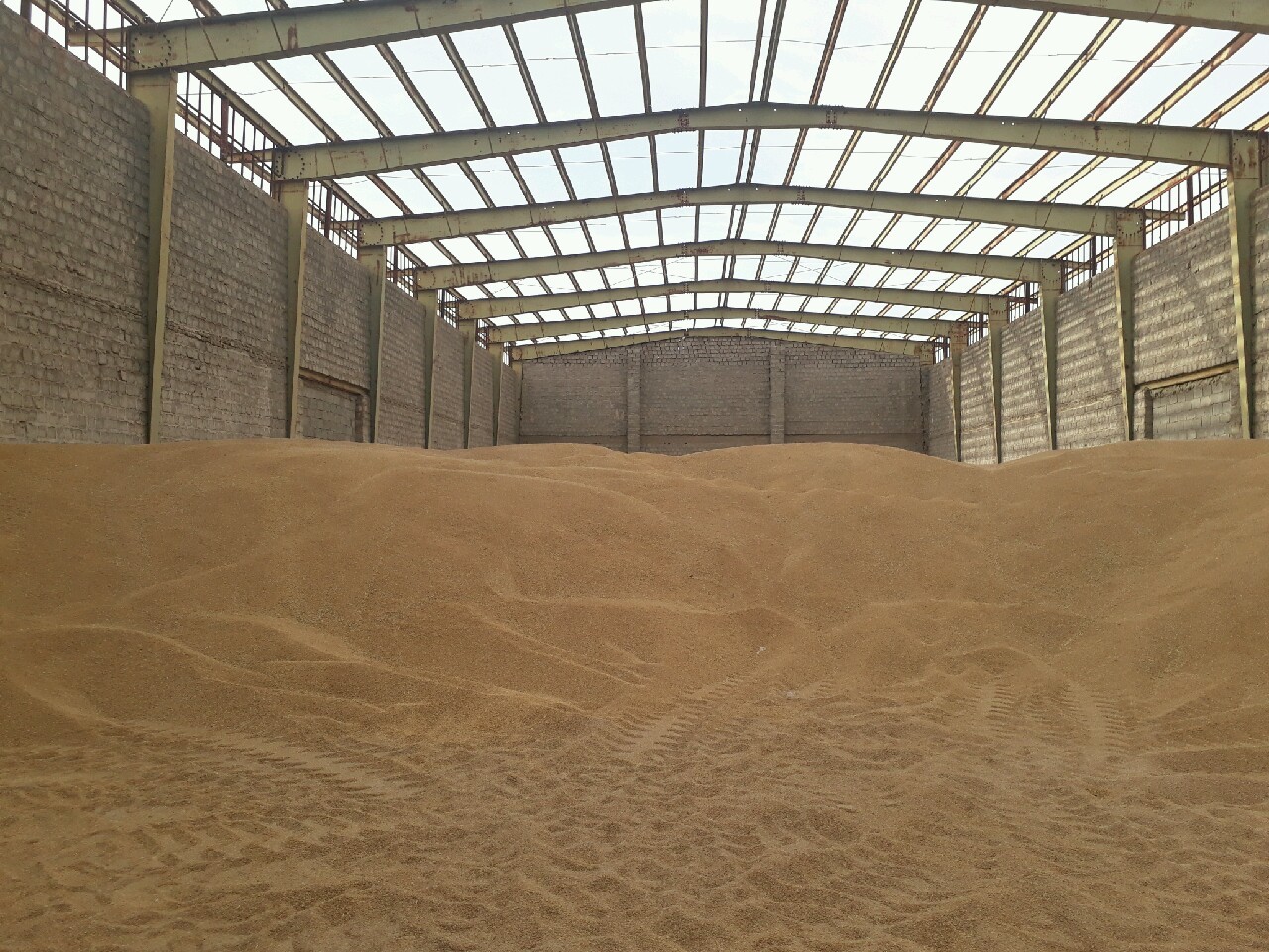 گندم کشاورزان دلگانی پشت در انبارهای غله