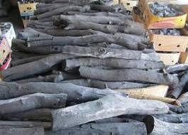 افزایش 281درصدی کشفیات چوب و ذغال قاچاق