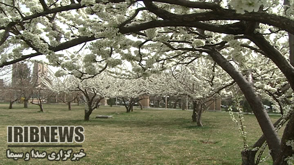 آسمان زنجان صاف تا قسمتی ابری