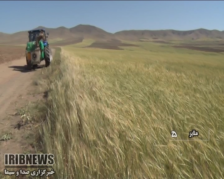 چند خبر از استان