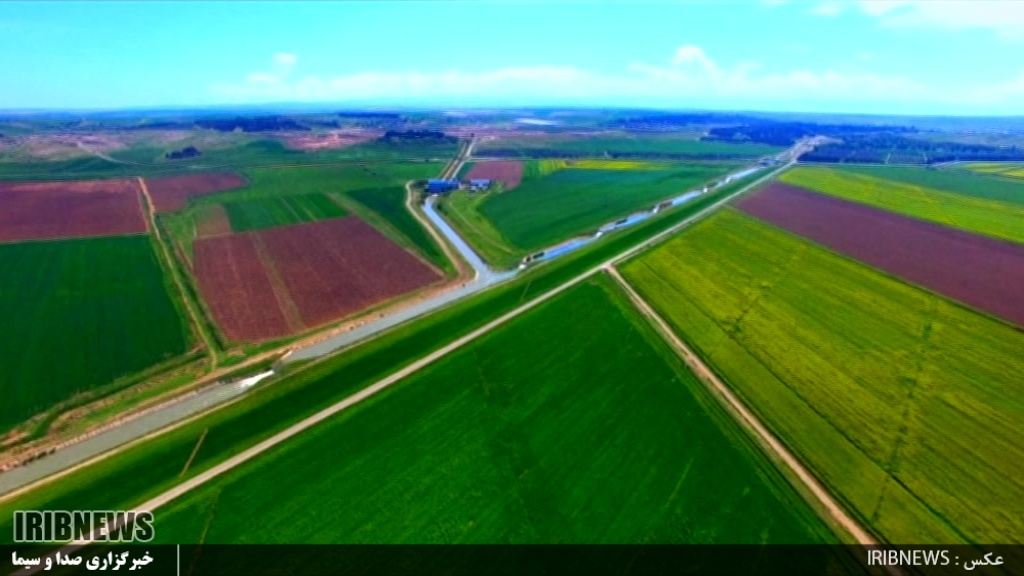 پیش بینی برداشت 25 هزار تن سویا در پارس آباد