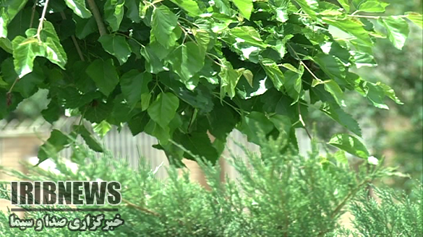 افزایش دما در زنجان