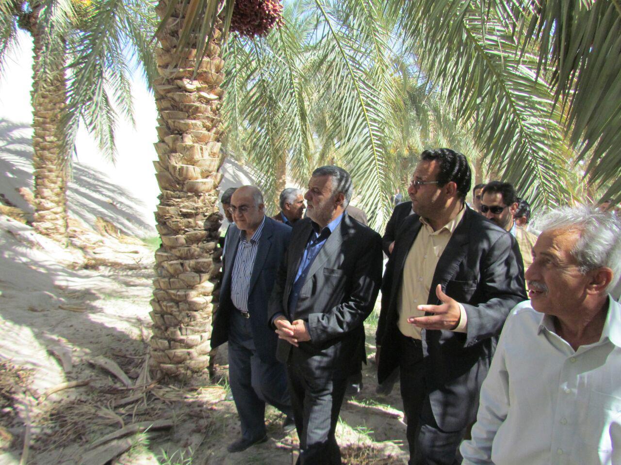 تثبیت شنهای روان نیازمند حمایت بیشتر دولت ومجلس