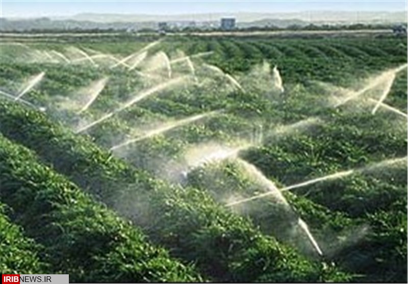 بازسازی و تکمیل ۳۵ هزار هکتار سیستم‌های آبیاری در حوزه سامنه گرمسیری