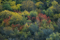 وفس؛ بهشت استان مرکزی، میزبان هزاران ایرانگرد