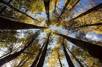 وفس؛ بهشت استان مرکزی، میزبان هزاران ایرانگرد