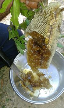 وفس؛ بهشت استان مرکزی، میزبان هزاران ایرانگرد