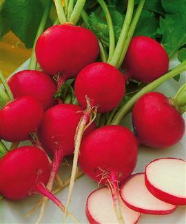 خواص تربچه در مبارزه با بیماری های قلبی خواص تربچه در مبارزه با بیماری های قلبی